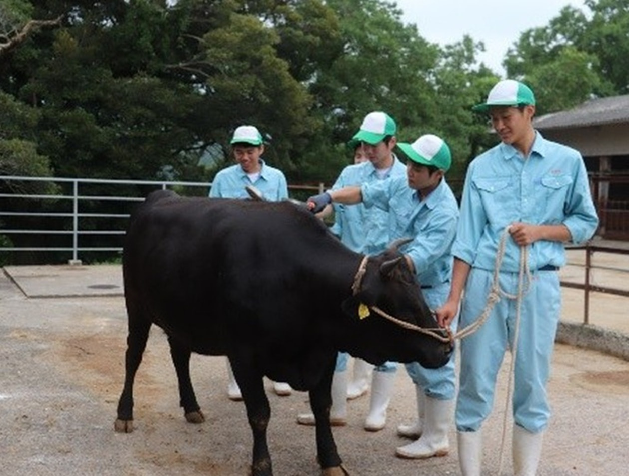 農業科の実習の様子