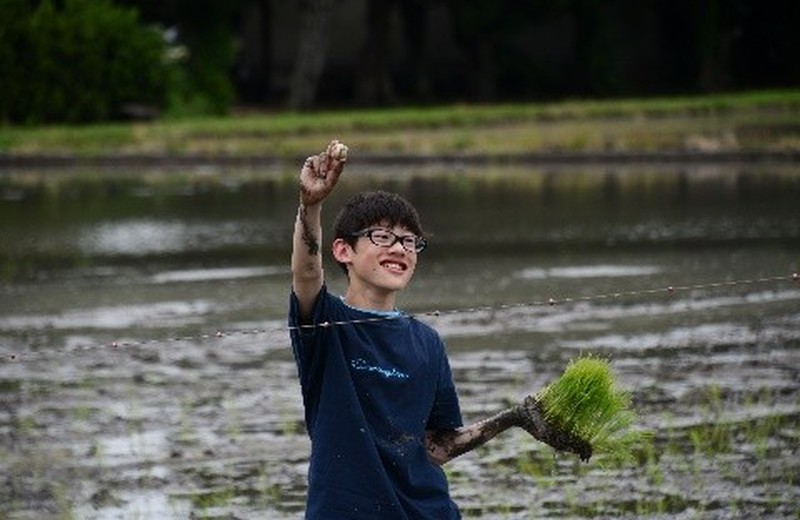 画像：農業高校の授業の様子