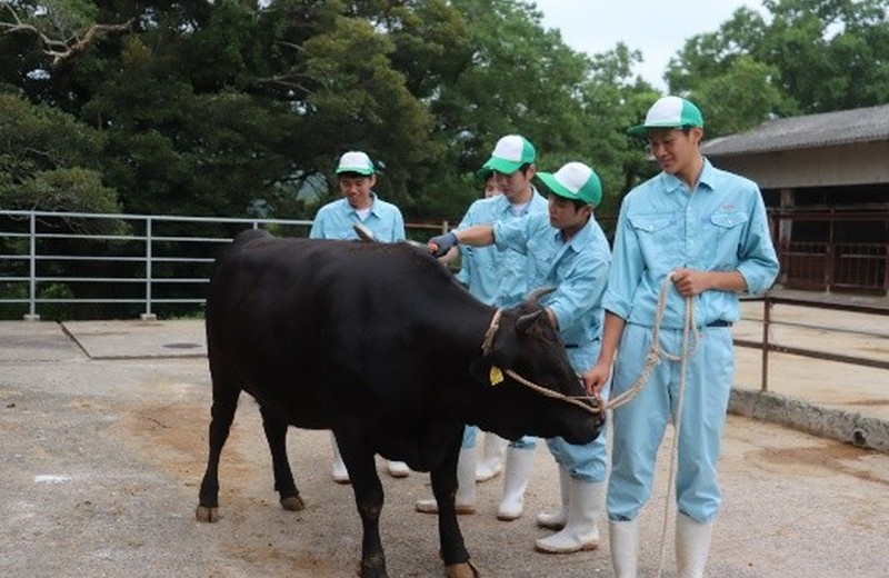 画像：農業高校の授業の様子2