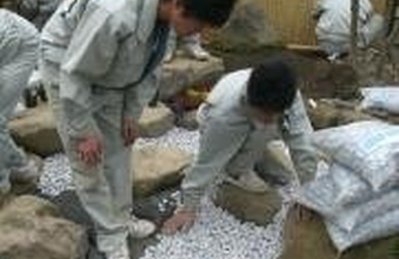 造園・緑地の学習