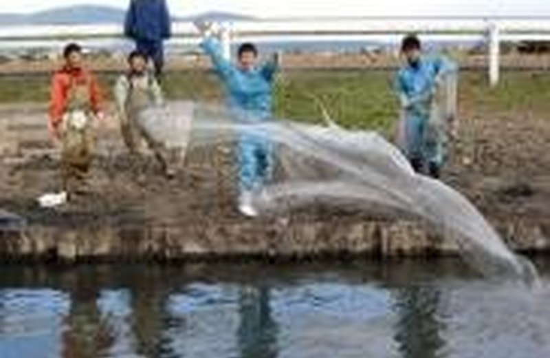 森林・環境保全の学習